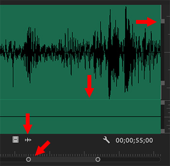 An audio waveform with a modified display in the Adobe Premiere Pro Source Monitor.