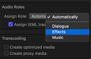 The Audio Roles section of the Media Import window in Final Cut Pro X.